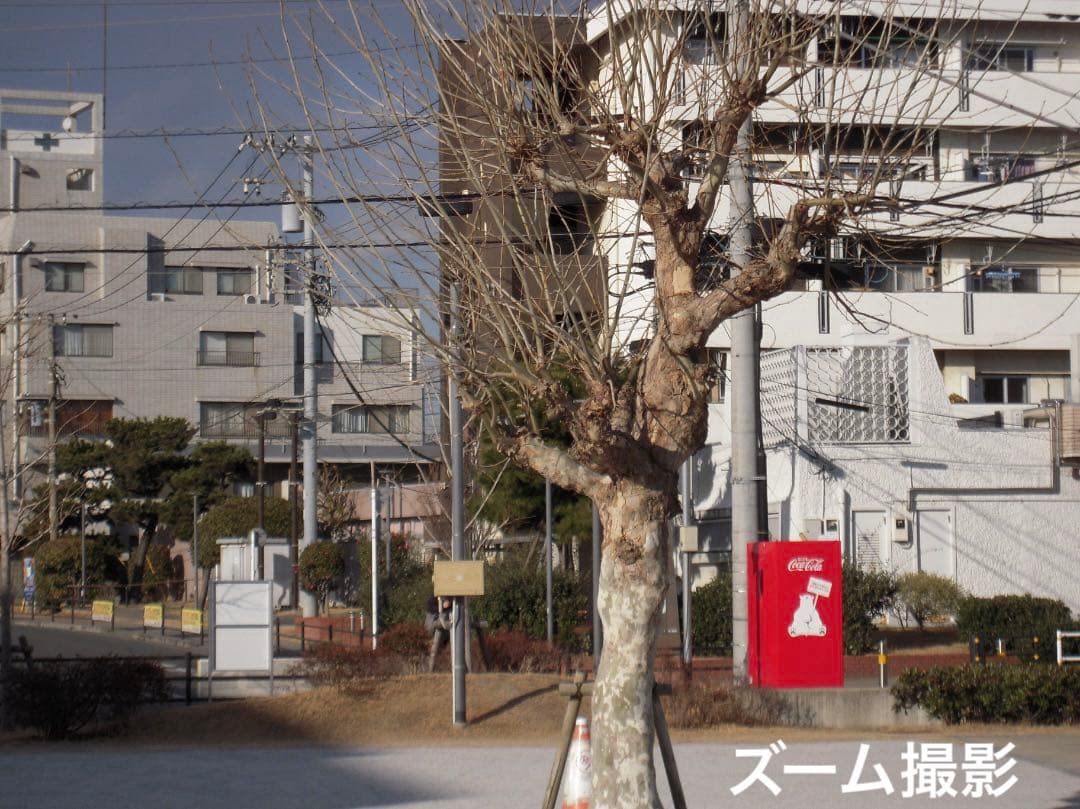 実写美⭕️美品【動作確認済み】Nikon COOLPIX S600 デジカメ