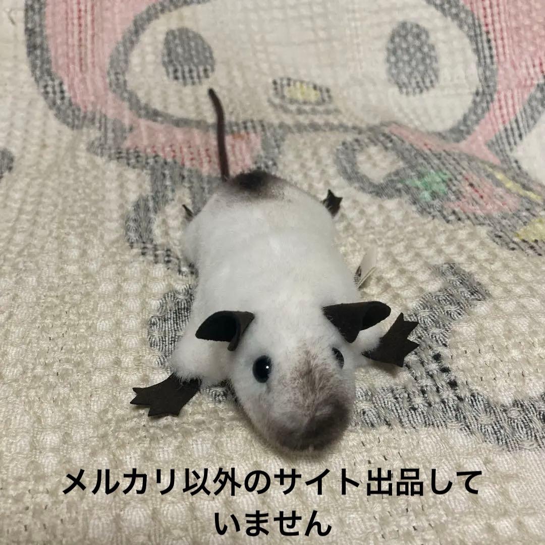 ケーセン Koesen ぬいぐるみ サイアミーズラット　中古品