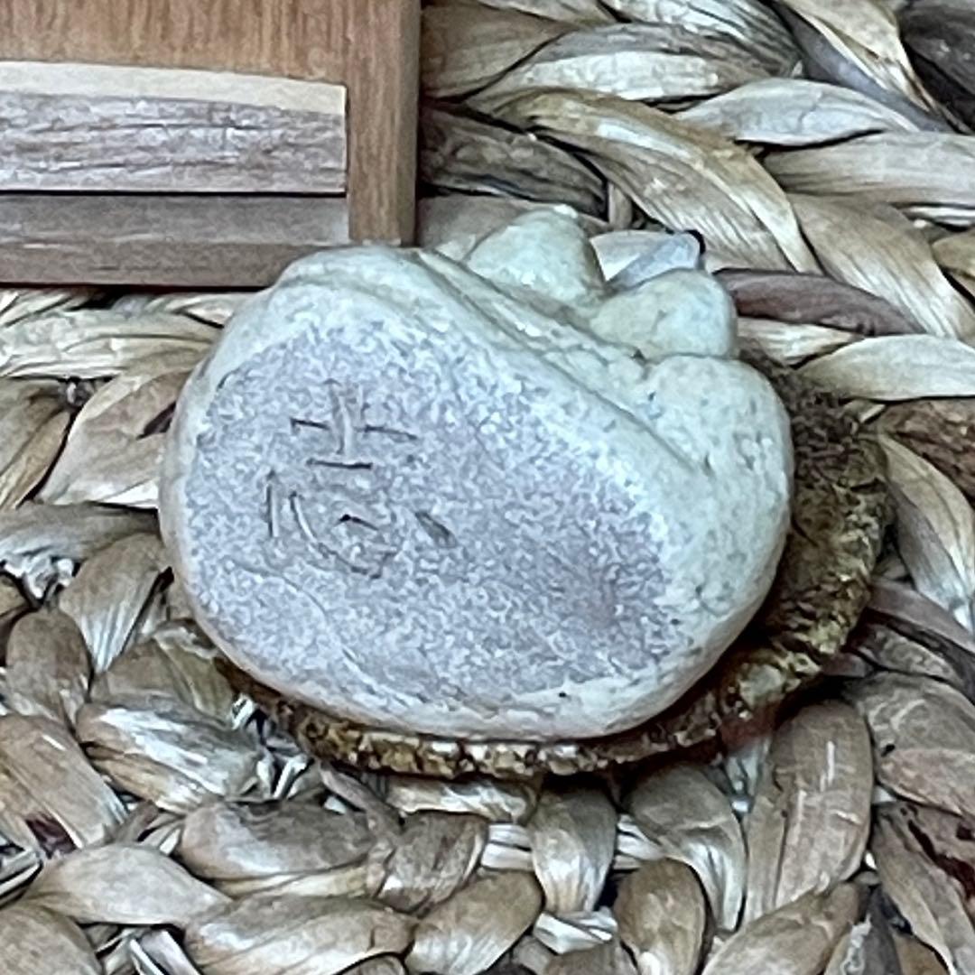 共箱　狸　陶器　置物　加藤華仙　板谷波山　志銘