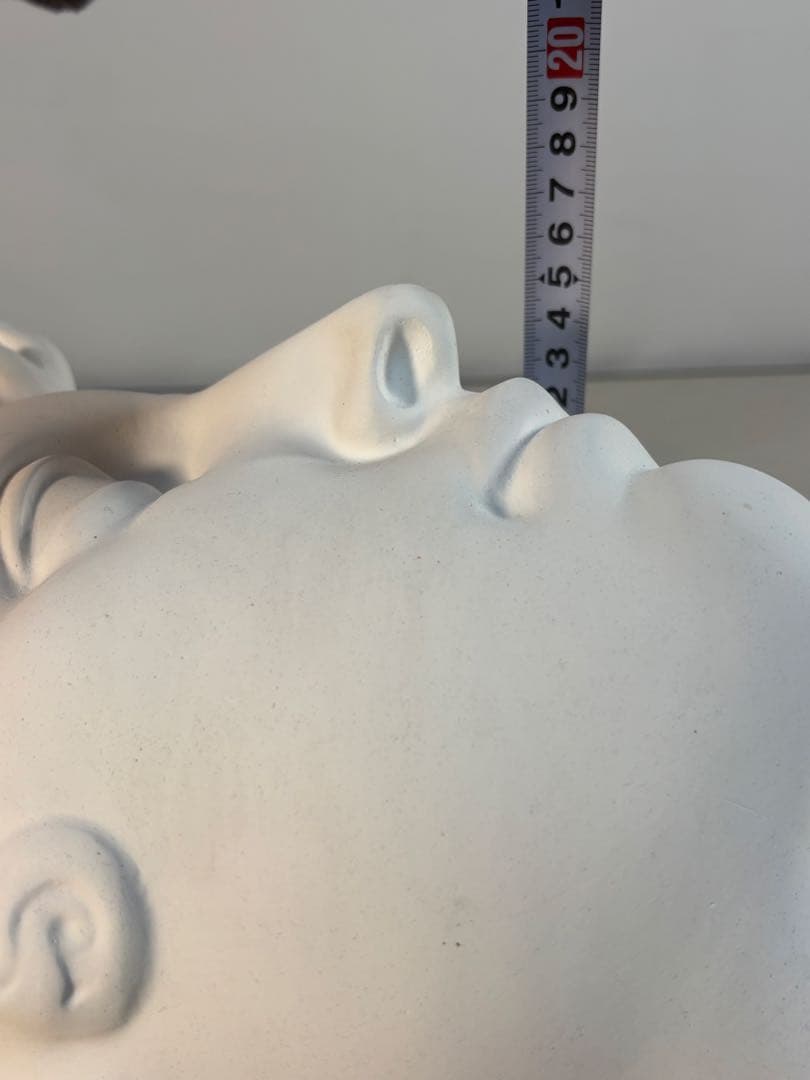 石膏像　メディチ　デッサン　半面像　美術　絵画　オブジェ　彫刻　アート