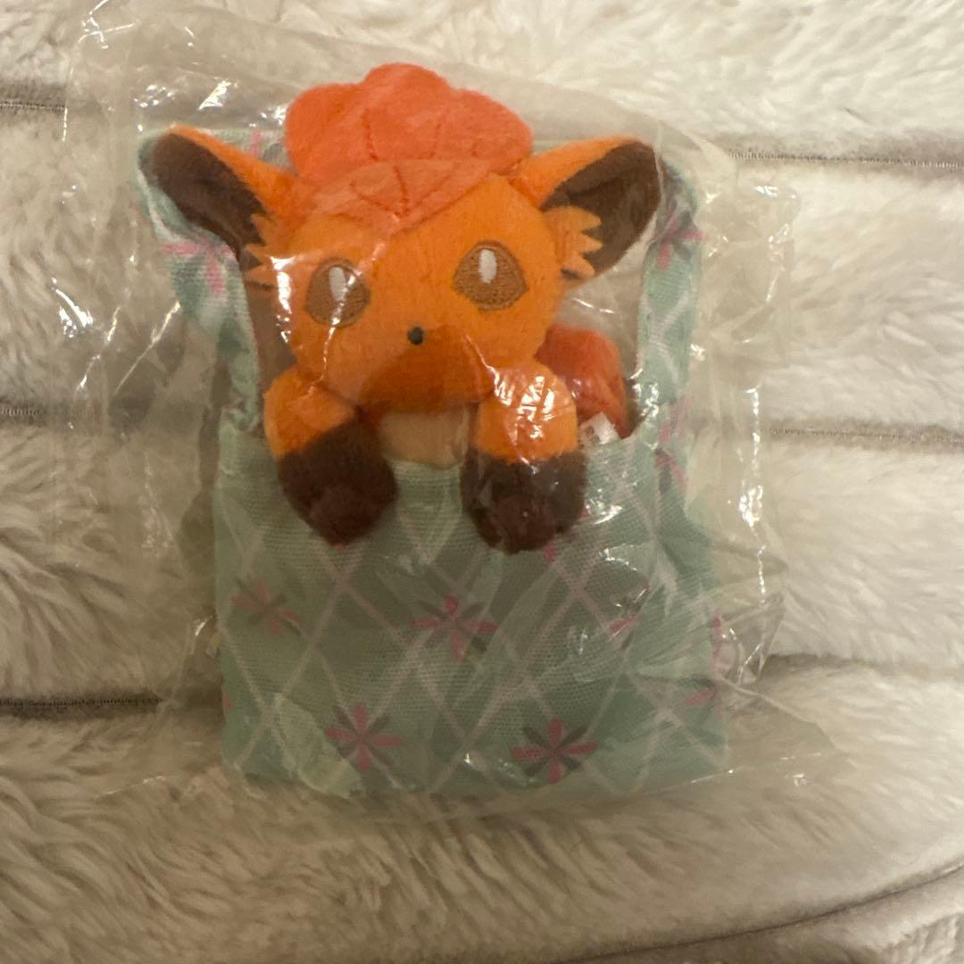 レア　ひょっこり　マスコット　ロコン　ぬいぐるみ ピンバッジ　ボールチェーン