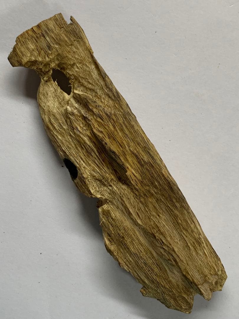 緑油伽羅 沈香原木 香木 重さ:25.4g (本物証明)