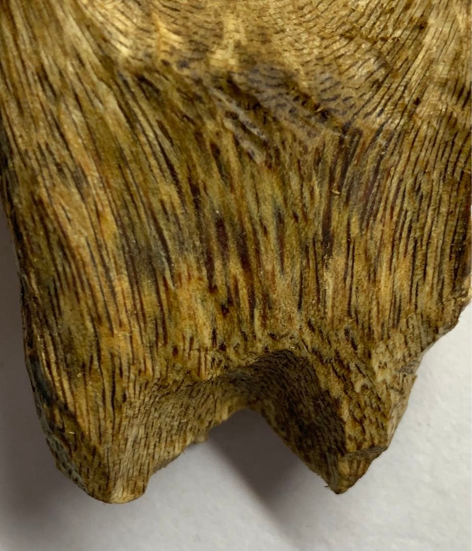 緑油伽羅 沈香原木 香木 重さ:25.4g (本物証明)