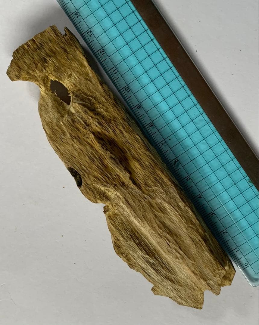 緑油伽羅 沈香原木 香木 重さ:25.4g (本物証明)