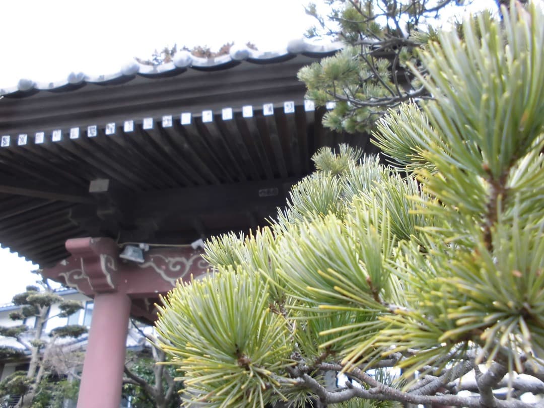 実写美⭕️【動作確認済】CASIO EXILIM EX-Z900 シルバー