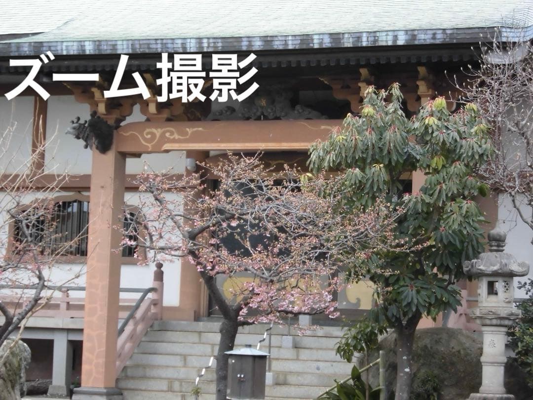 実写美⭕️【動作確認済】CASIO EXILIM EX-Z900 シルバー