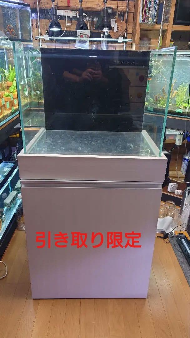 ADA 水槽 60ワイド＆水槽台　引き取り限定(川崎区)