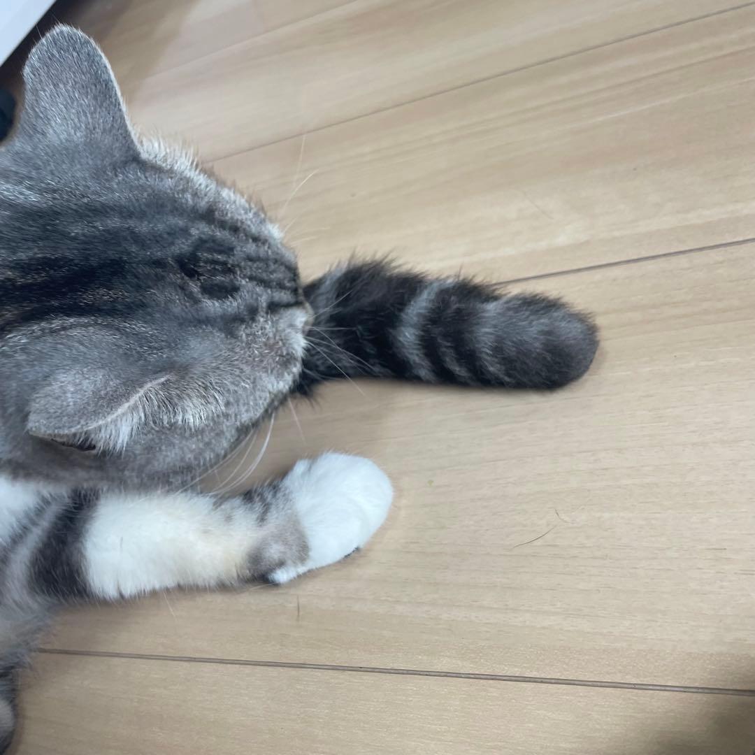 ※本日限定セール※ Andis ZR バリカンセットWAHL