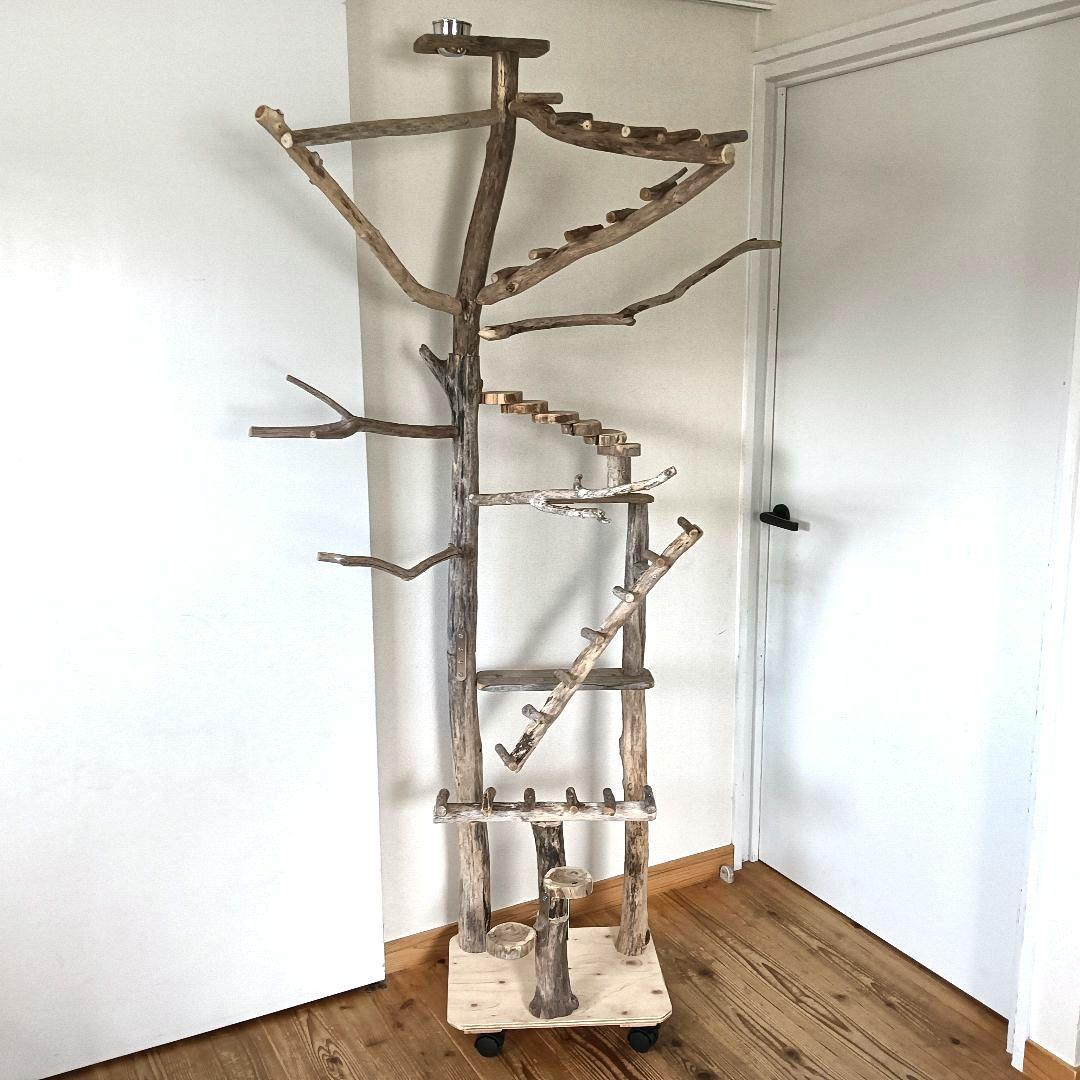 ちょこまふぃん バードアスレチックジム大型 天然木 自然木 流木 インコ