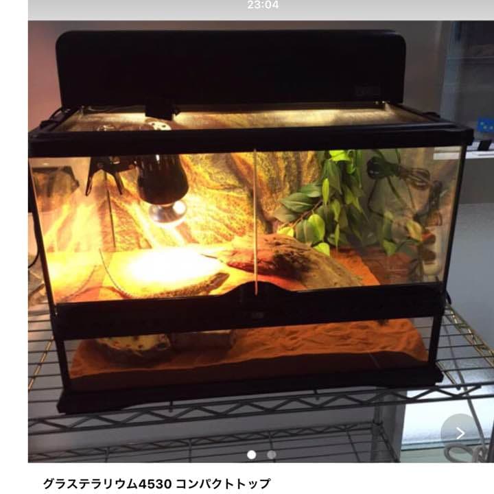 グラステラリウム4530 コンパクトトップ45