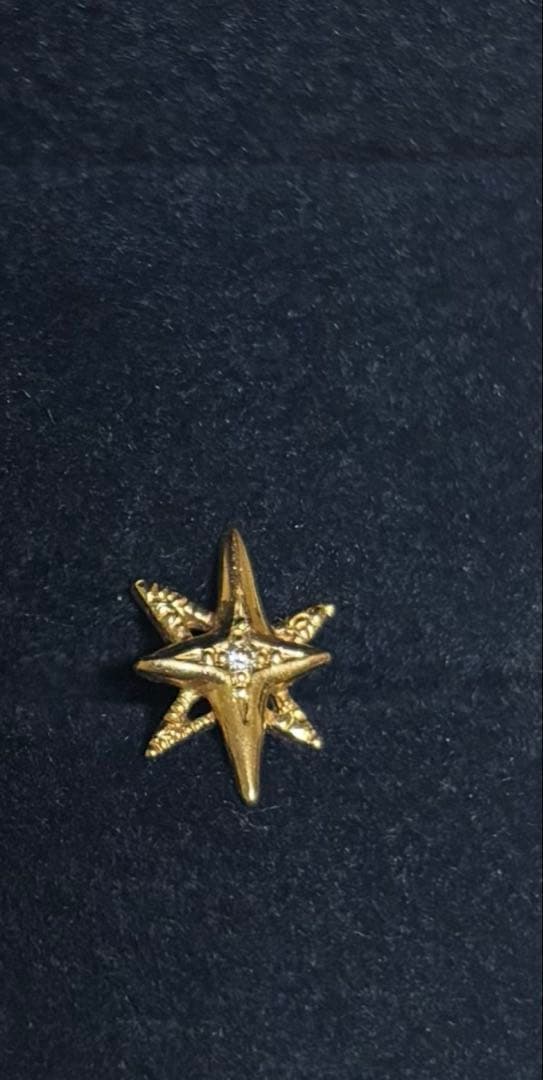 す*れ様 quarant'otto stellaのピアス　片耳