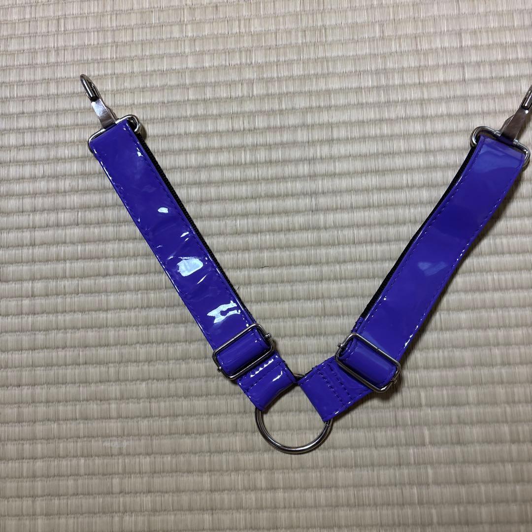 エヴァンゲリオン初号機 ゴルフバッグ 定価¥60500