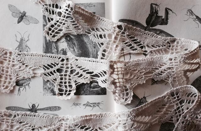 ゆう　小鳥のレース１セット　蝉のレース６m