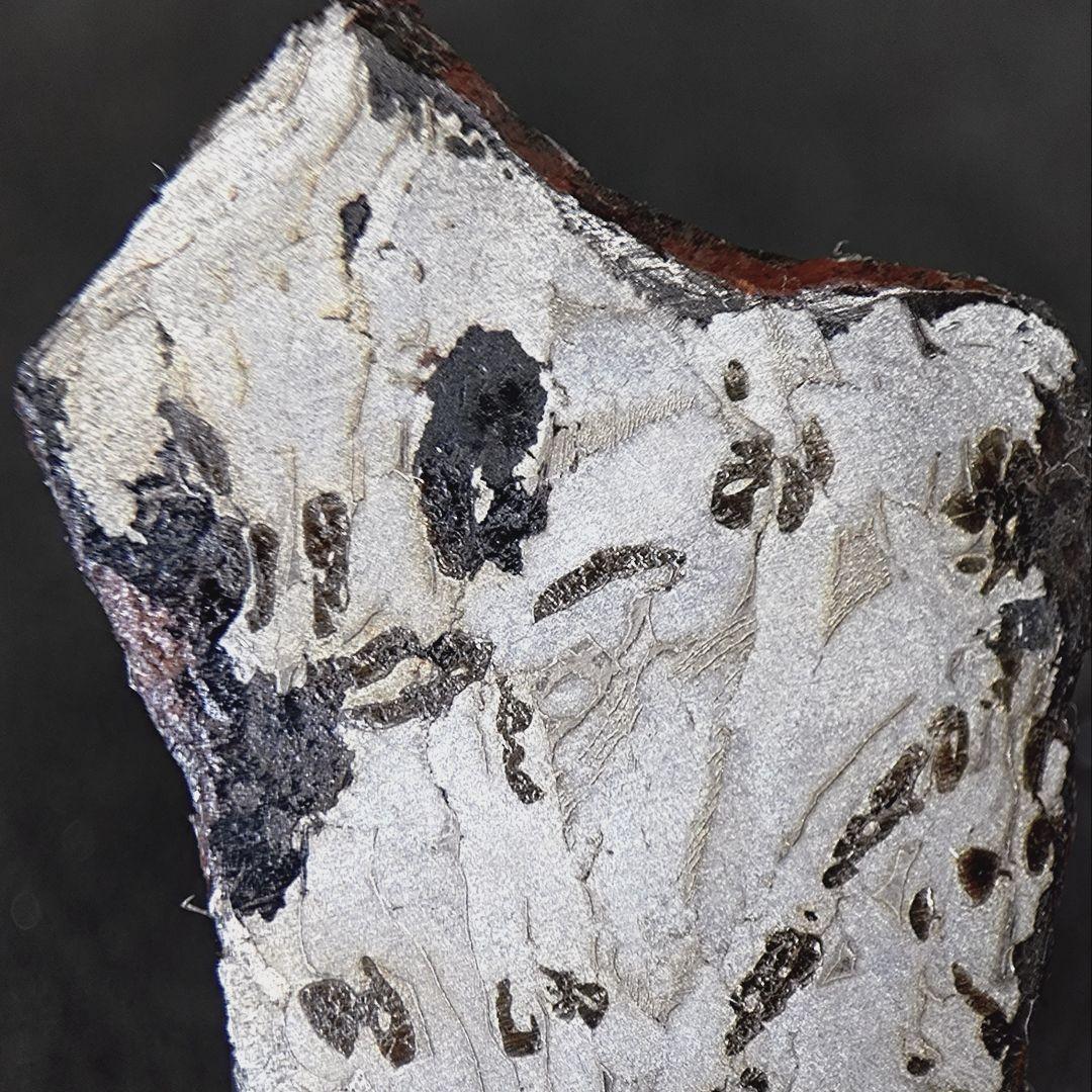 ギベオン隕石　(スライス)　8.8g