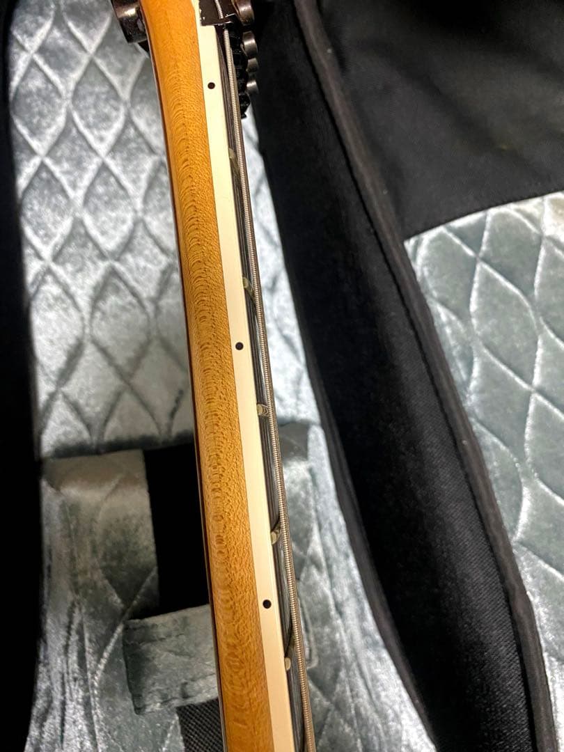 ギター Caparison Dellinger 7 M3  Storm