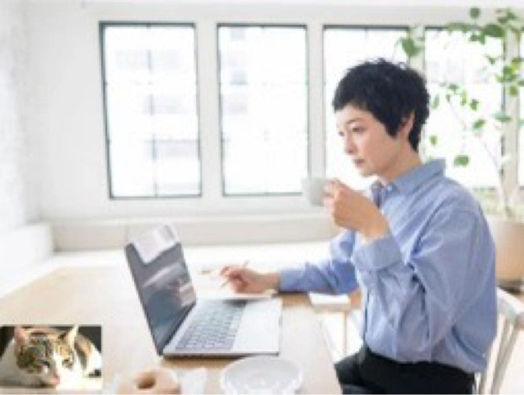 高ポリフェノール　ノンアルコール　ワインティー　100g粉末入り　２本セット