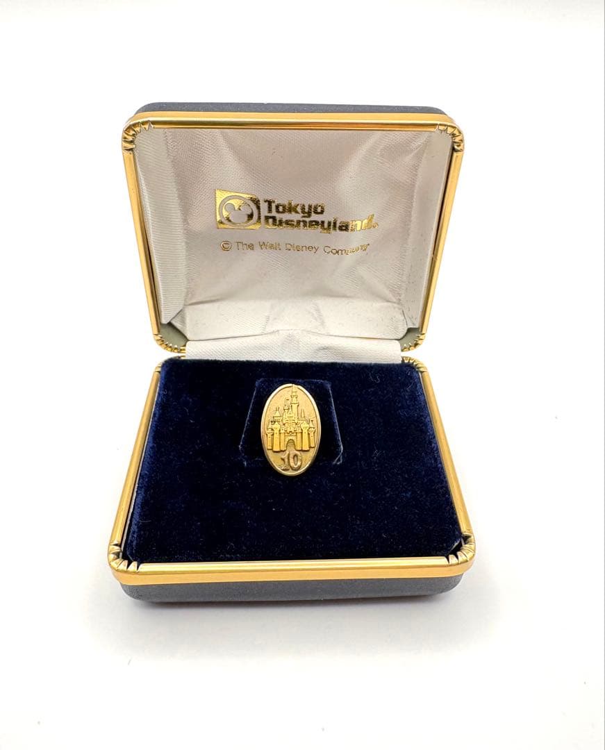 東京ディズニーランド　TDL キャスト 勤続 10周年　ピンバッジ　メダルセット