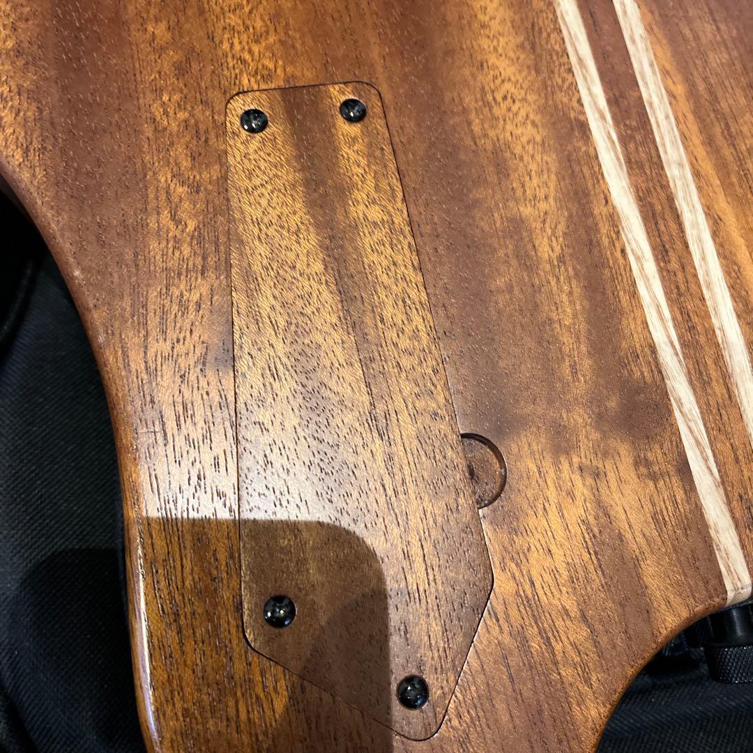 Soul Alone Guitars  Style ハンドメイドギター