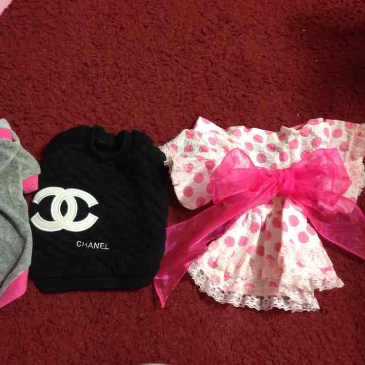 ペット 女の子 お洋服 未使用  レディ 犬