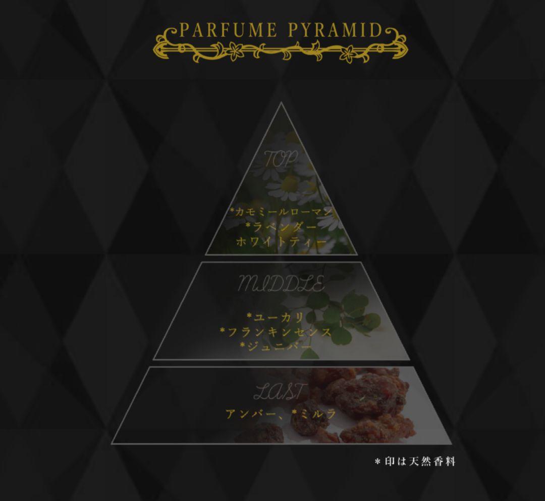 ジョジョの奇妙な冒険 リゾット・ネエロ 香水 暗殺チーム オーデパルファム