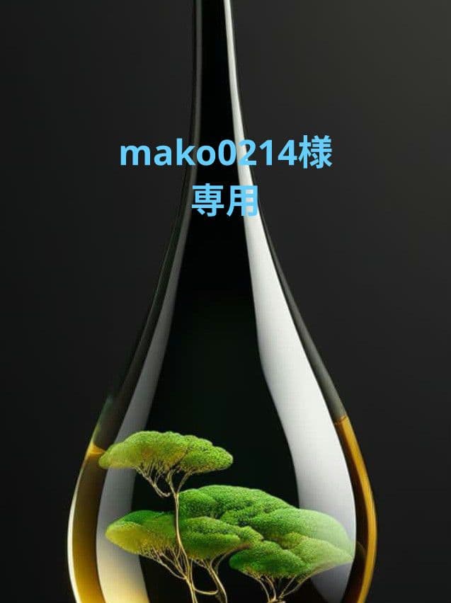 バラ苗　　8号鉢　人気種