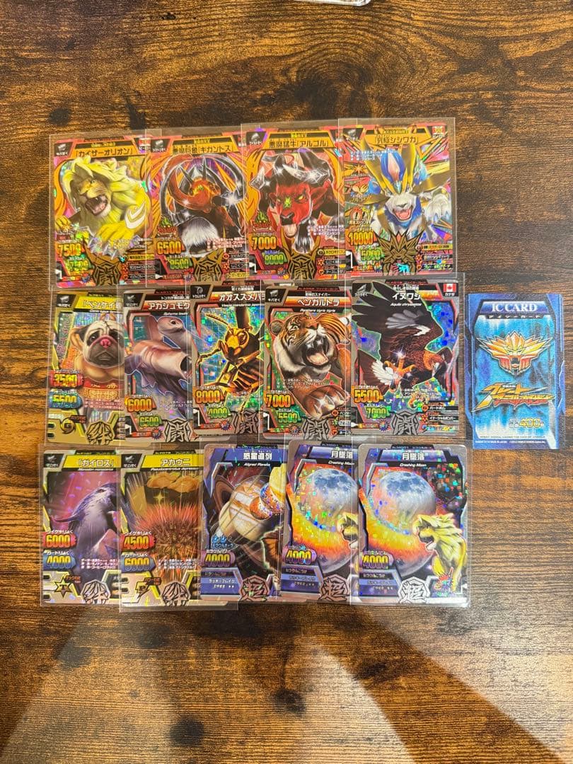 さ*き様 アニマルカイザー　14枚セット　アイシーカード