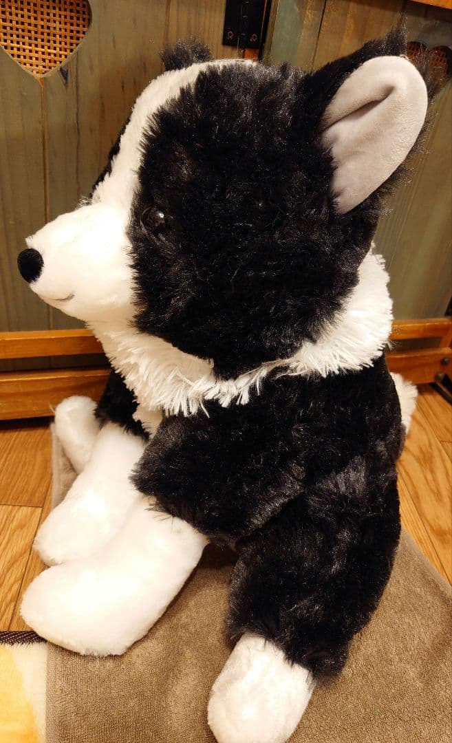 くったりボーダーコリー【新作】おりこうさん  ノワール ウルトラBIG