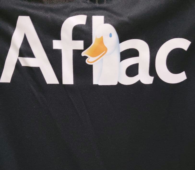 【柏レイソル】【30周年ユニホーム】【Mサイズ】