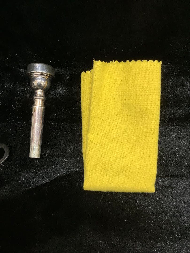 SELECTION トランペット ハードケース付き