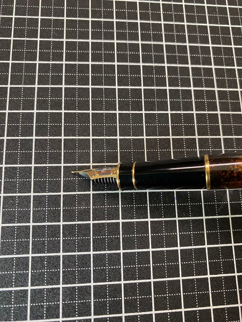 PARKER SONNET ビゾンフォンセ　純正漆　万年筆　字幅F