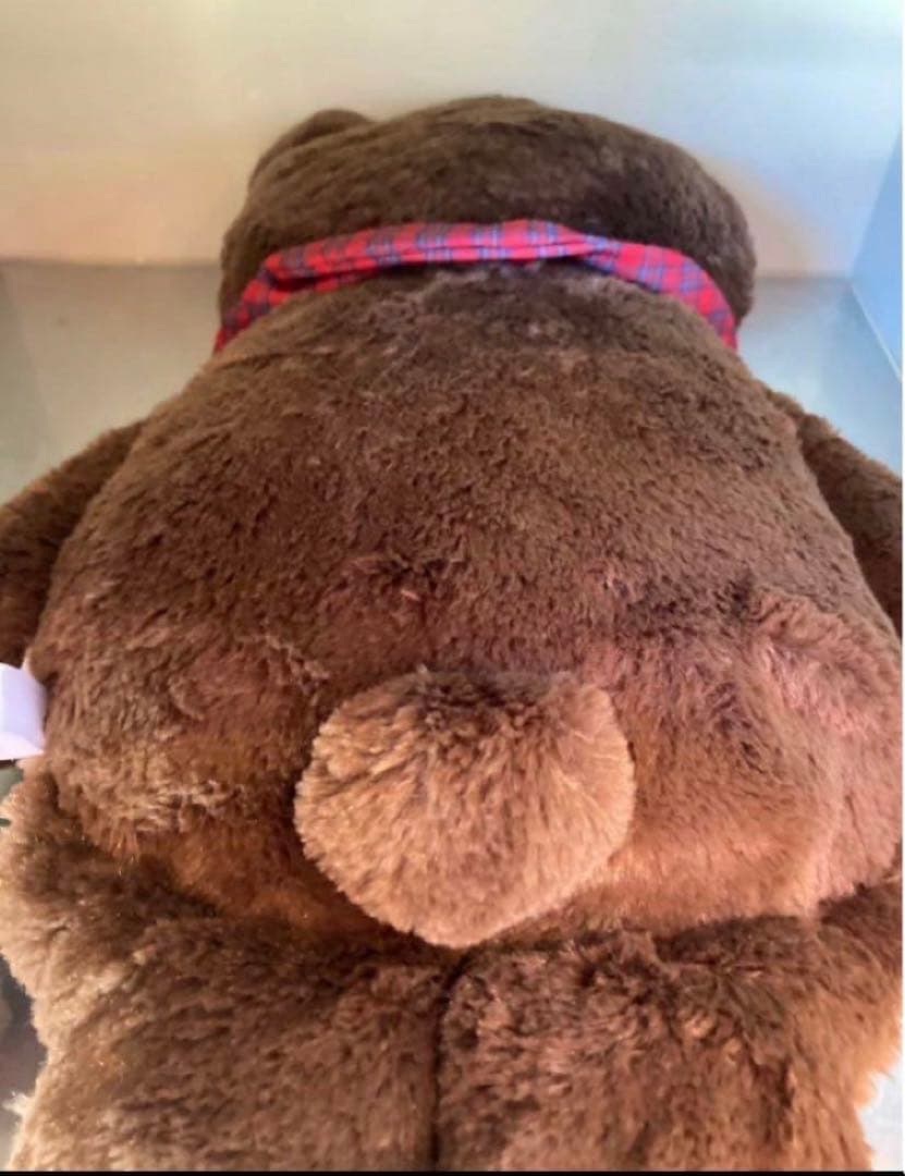 usjハミクマぬいぐるみクッション USJユニバーサル