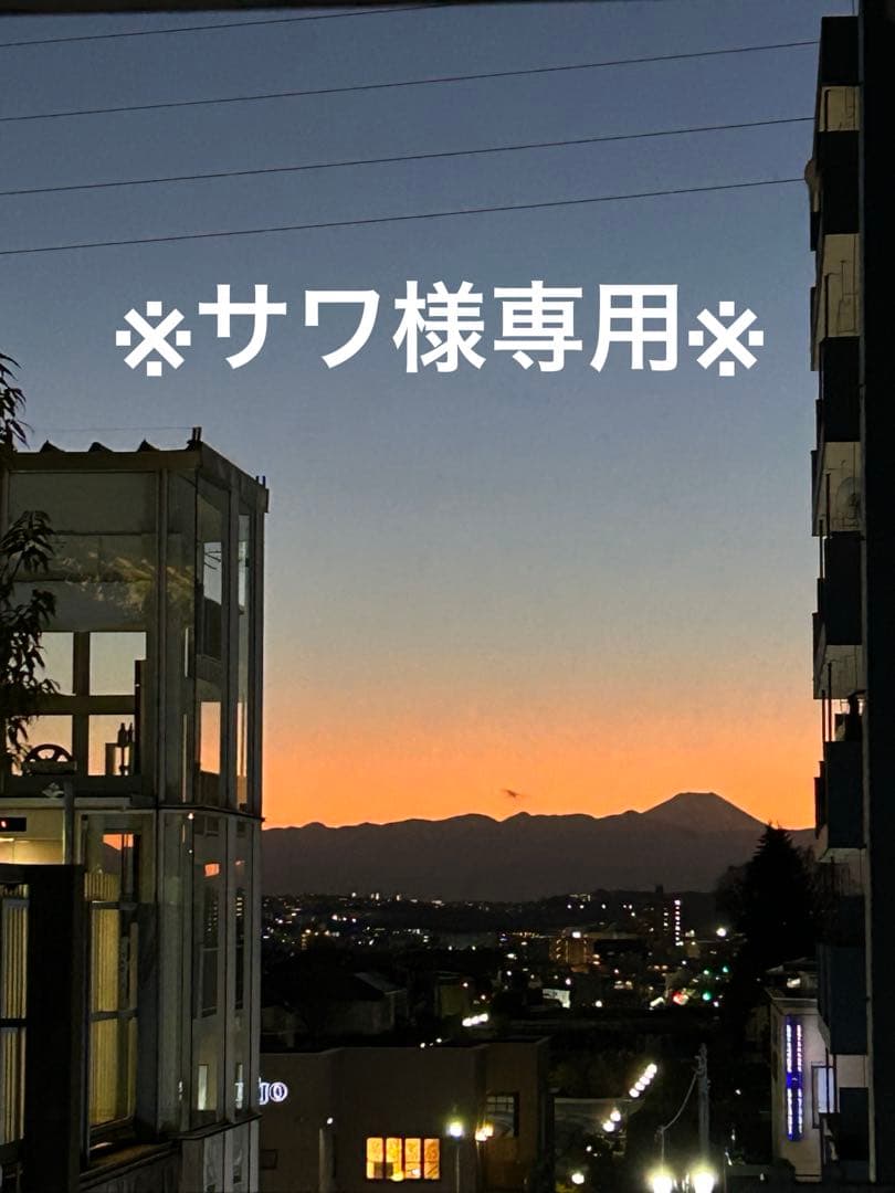 サワ様専　鬼滅の刃じぇっと壱・弐・参 3機セット/鬼滅の刃×ANAタイアップ