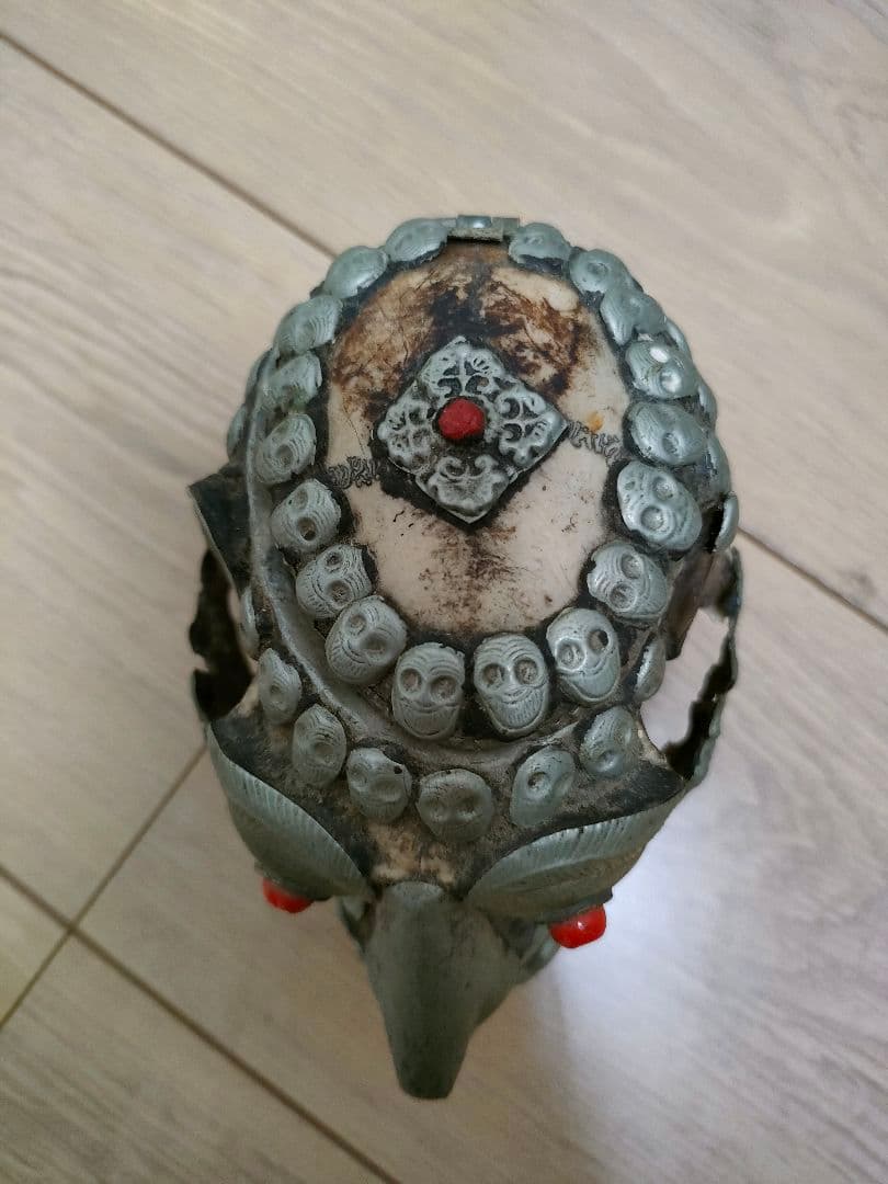 菅*1様 ●レア　モンキースカル　チベタンスカル