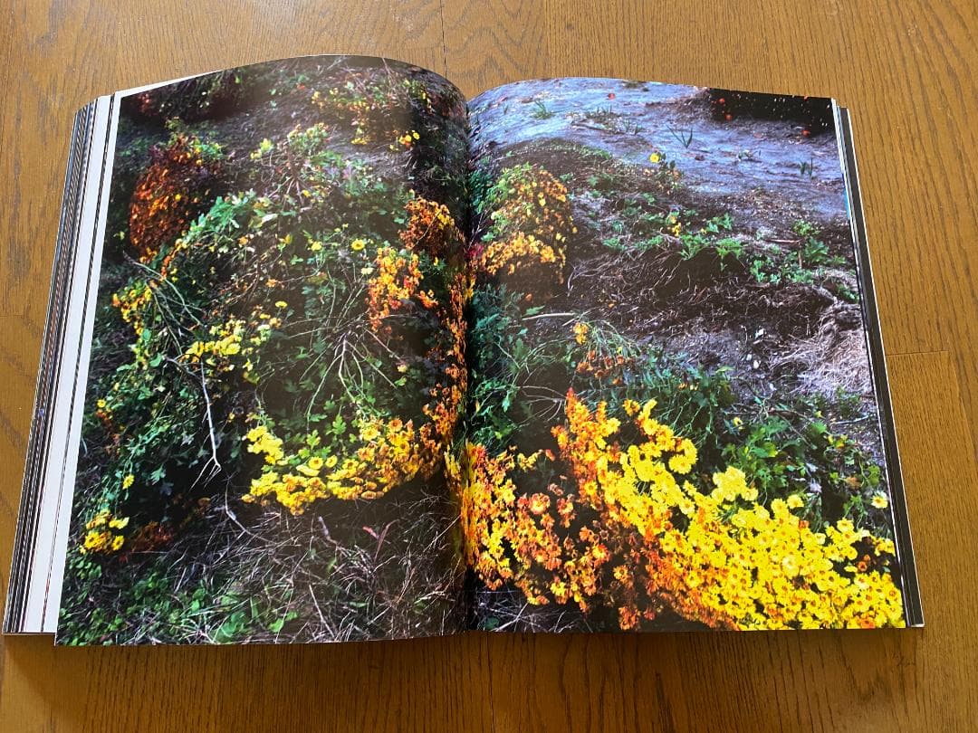 志賀理江子「螺旋海岸」直筆サイン 新品同様