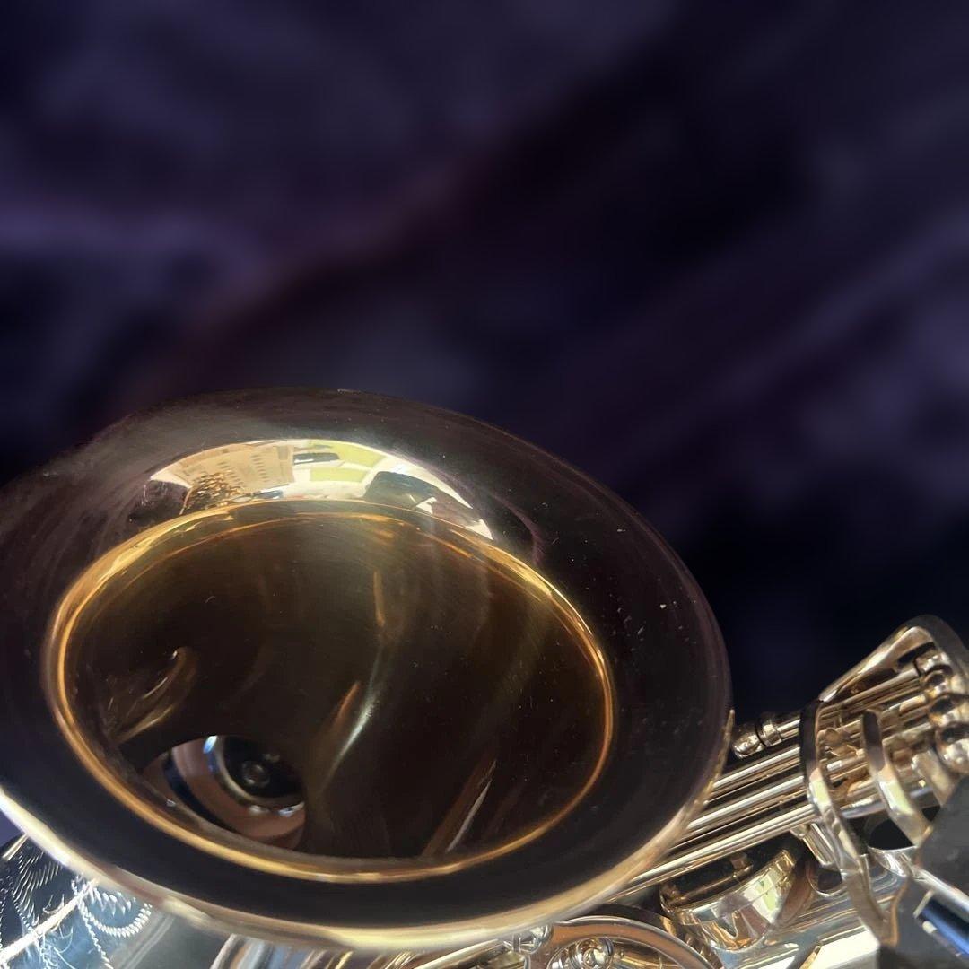 【初心者セット】SAVALEY アルトサックス ケース付き 付属品多数