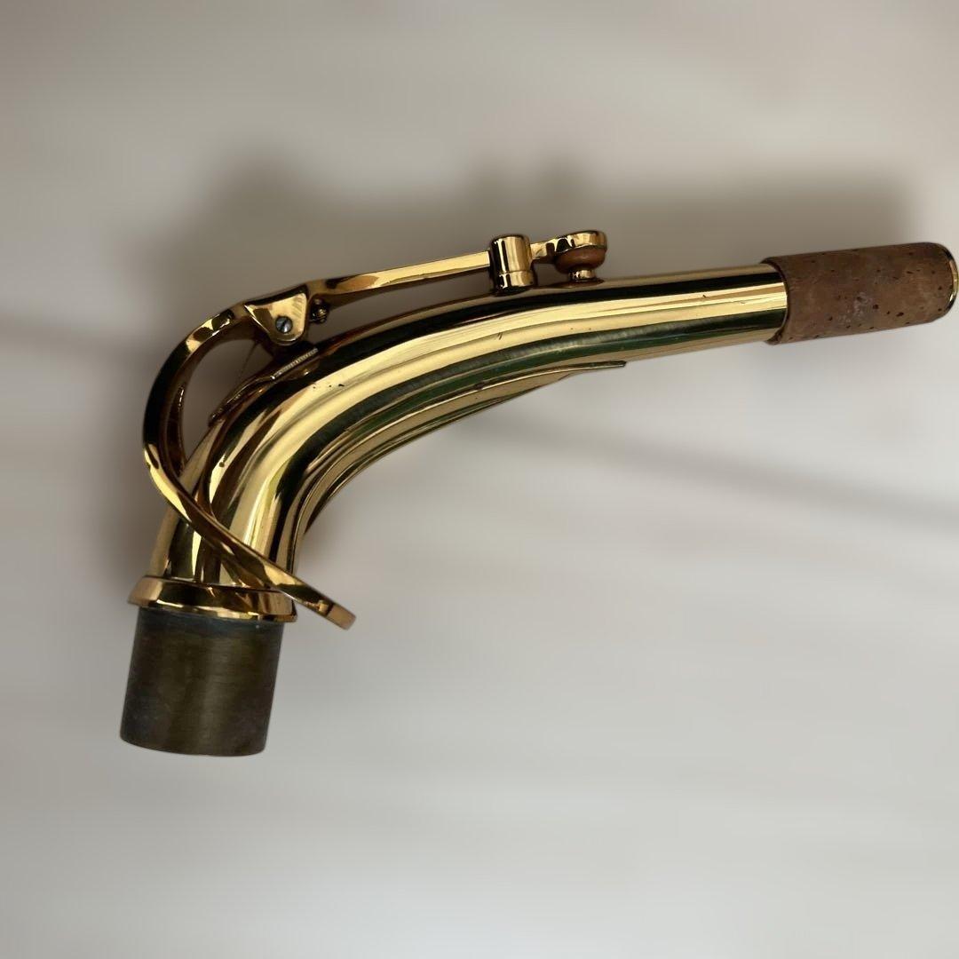 【初心者セット】SAVALEY アルトサックス ケース付き 付属品多数