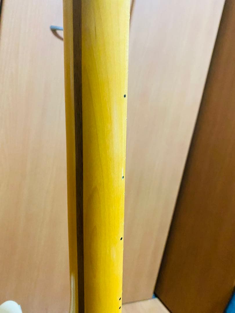 fender american professional ⅱ ストラトキャスター