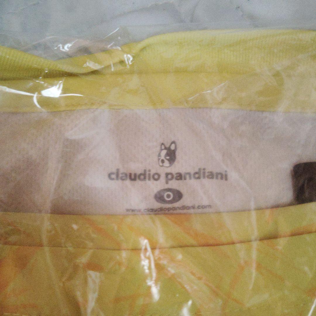 ガイナーレ鳥取、オーセンティックユニホーム