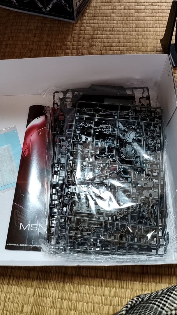 RG 　沙扎比　メカニカルコアメッキ