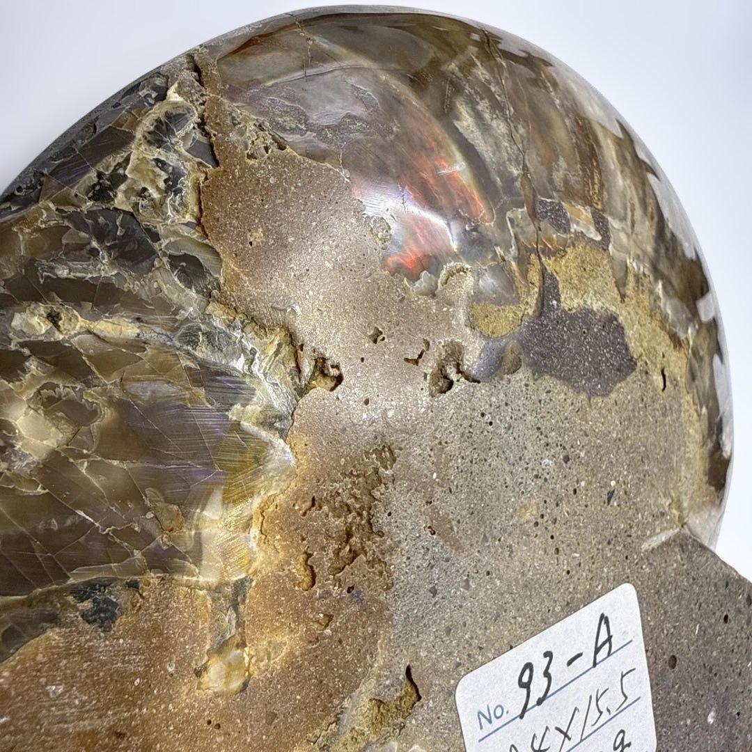 アモナイト化石 ペア　スタンド付き