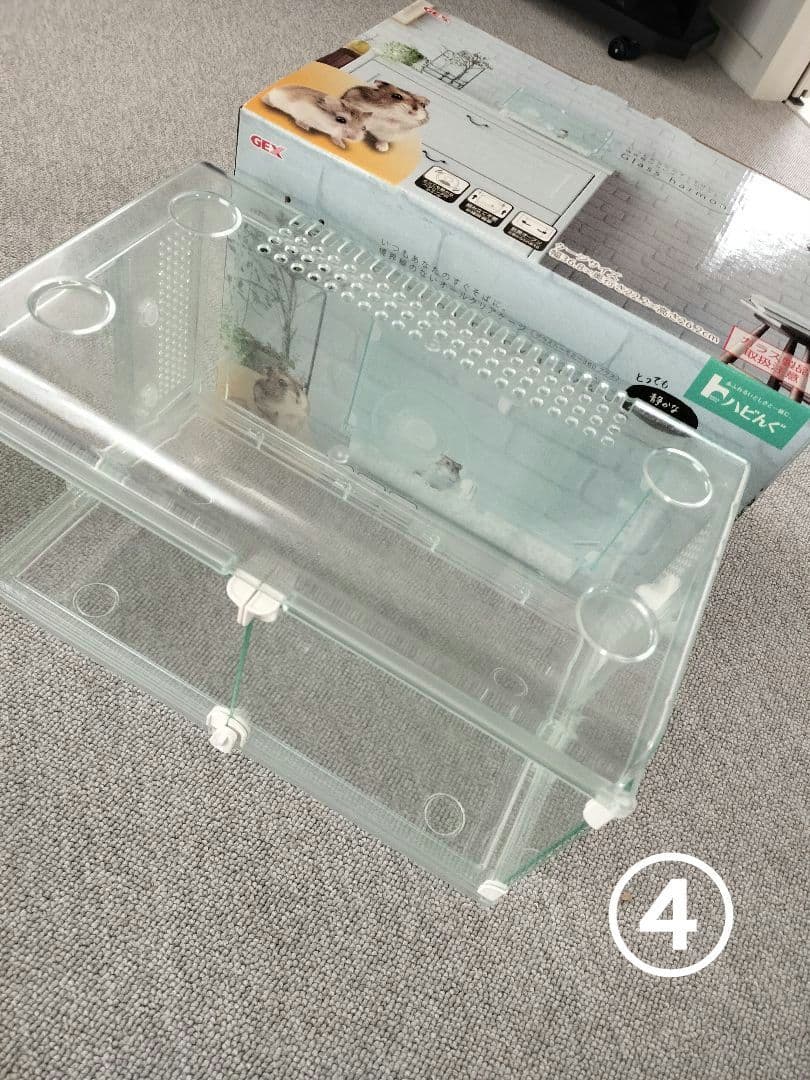 グラスハーモニー大小　餌　砂　今すぐ飼えるセット