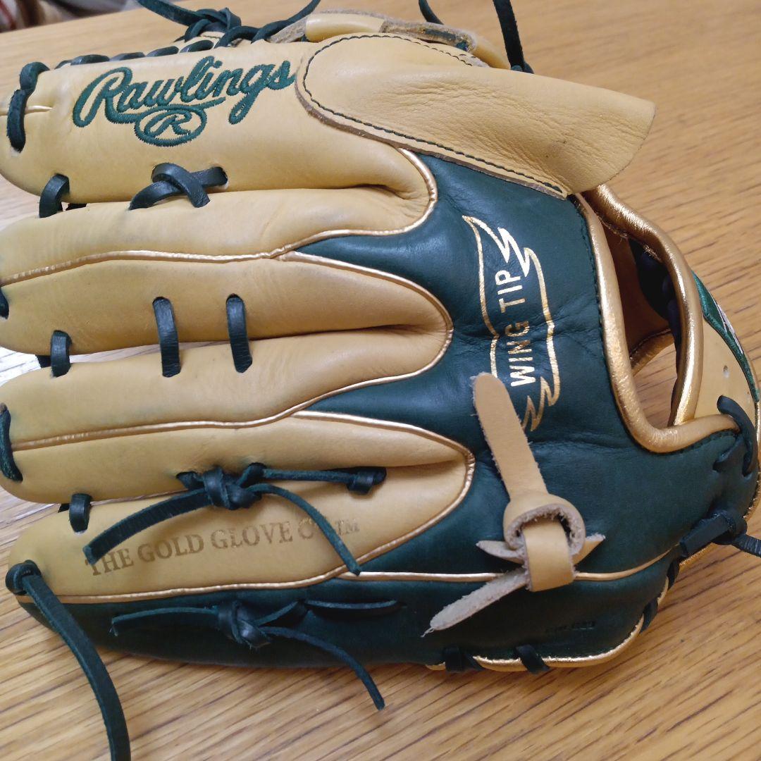 Rawlings The Gold Glove Series 軟式グローブ