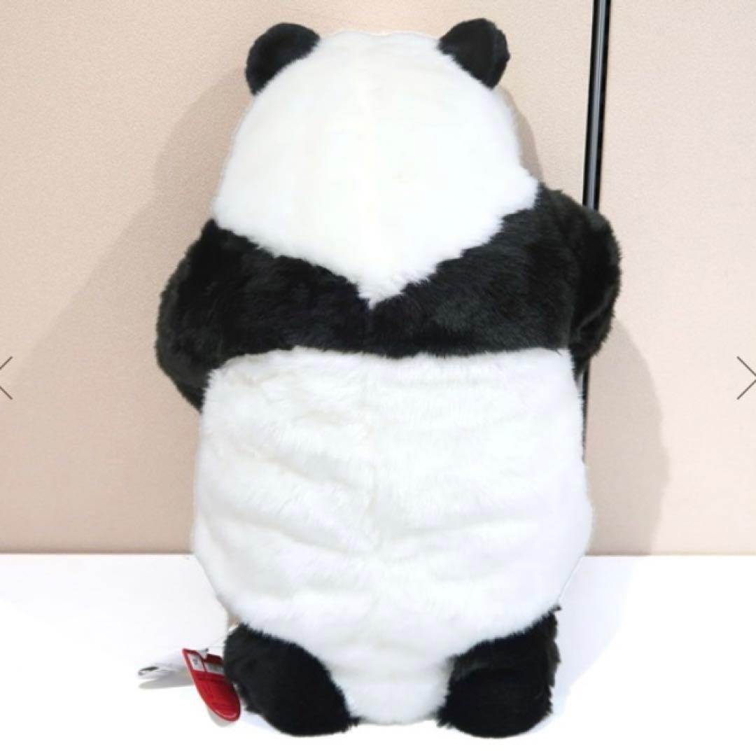 ぬいぐるみ 抱っこパンダ 上野動物園公式