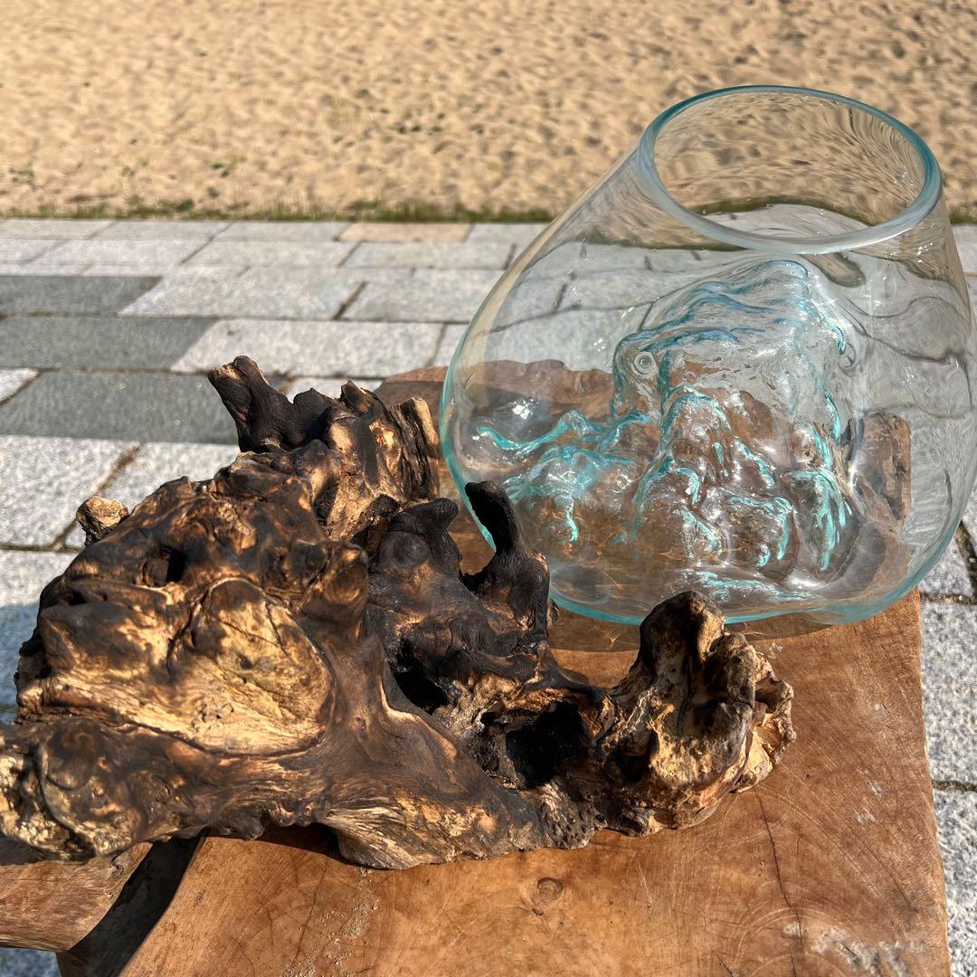 流木ガラス オブジェ超特大H 他４点セット花瓶 金魚鉢 水槽 テラリウム 観賞魚