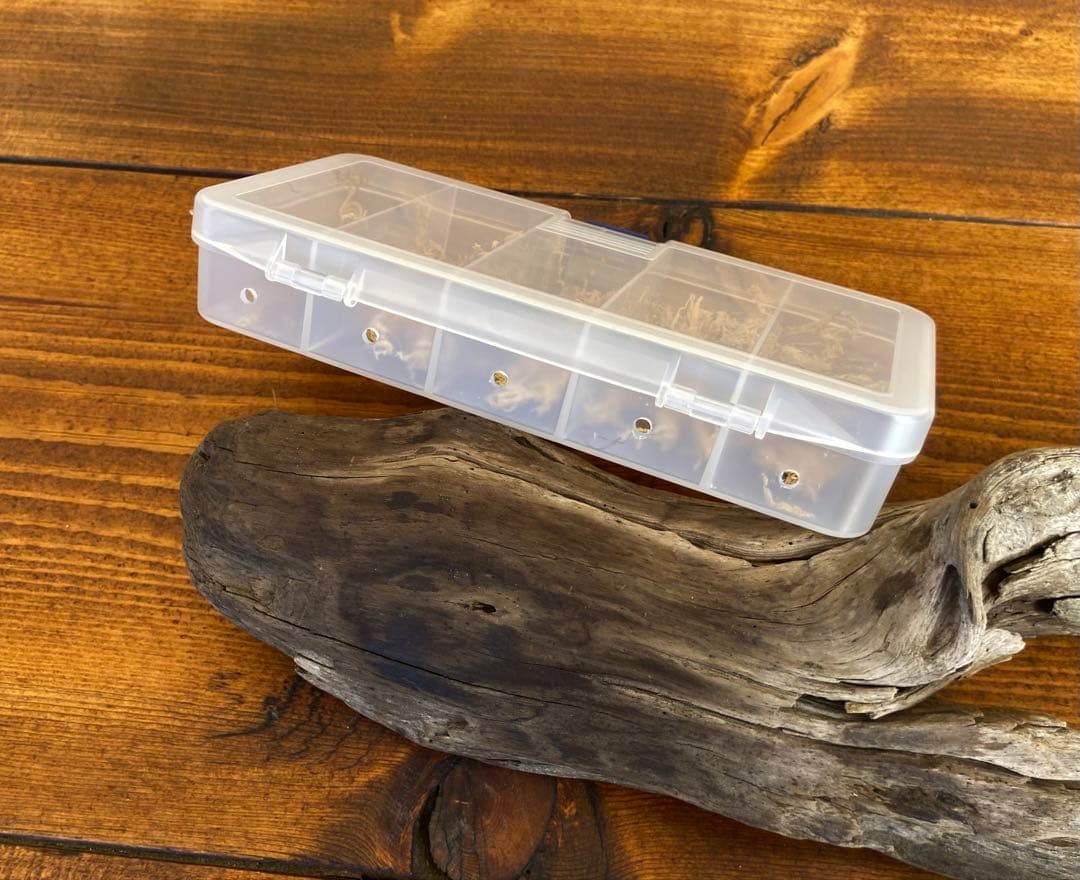 クワガタ採集セット　オリジナル掻き出し棒　デジタルノギス　採集ケース　虫除け