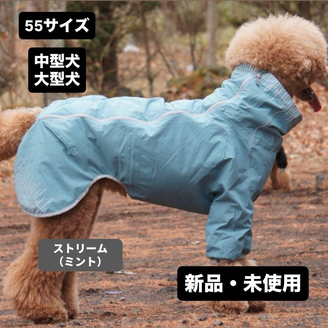 フルッタ　レインブロッカー　ストリーム（ミント）