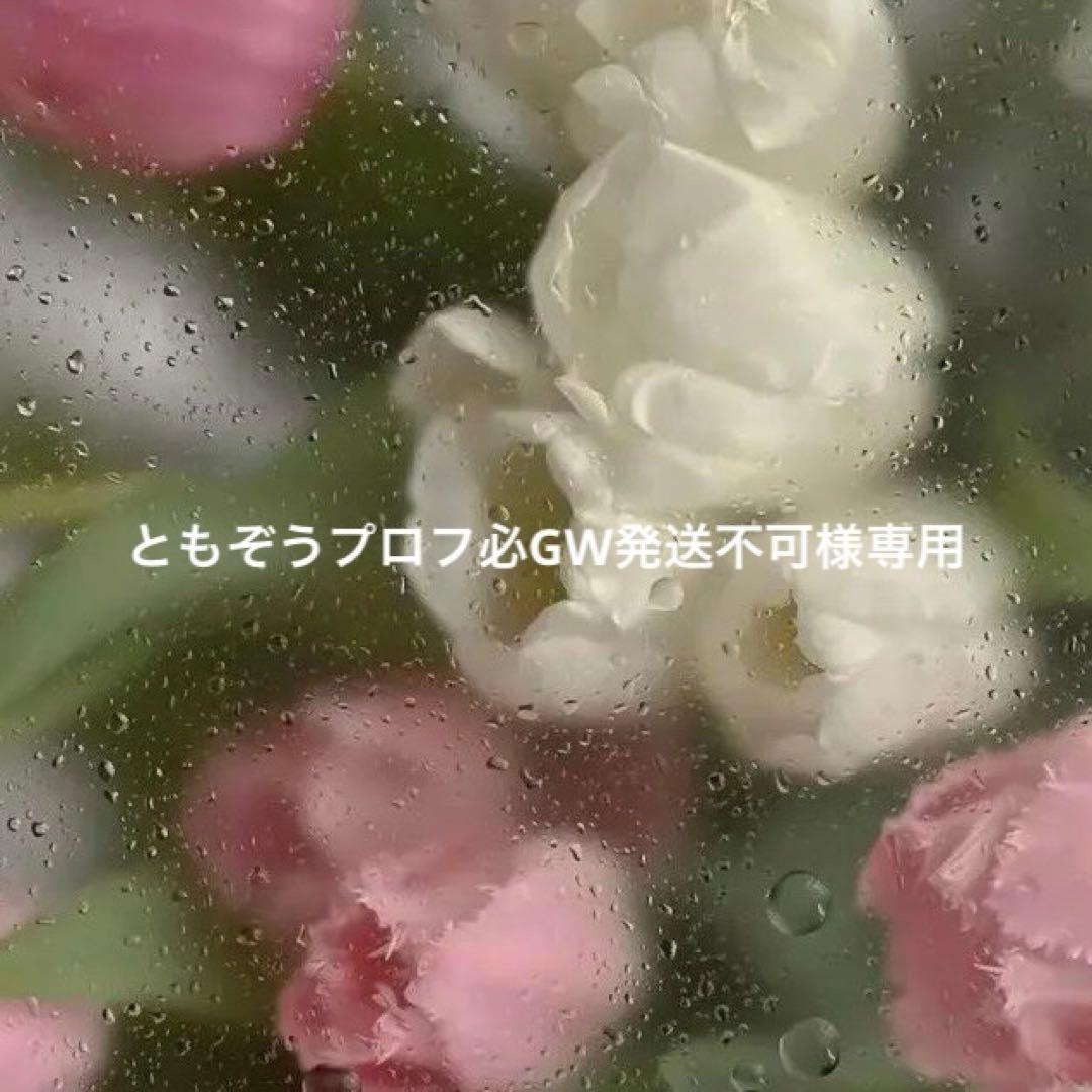 ともぞうプロフ必GW発送不可