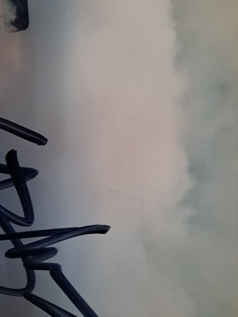 ケンブロック ken block 直筆サイン