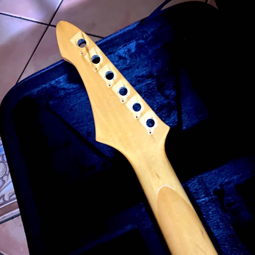 aria pro Ⅱ RS knight warrior 抜け殻 送料無料❗️