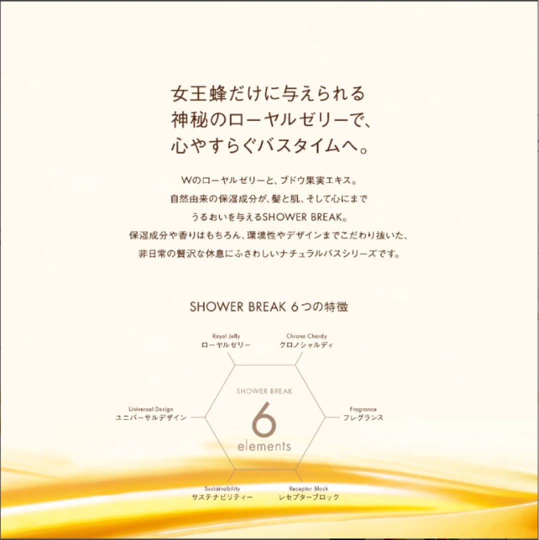 【新品セット】POLA シャワーブレイク シャンプー&コンディショナー各10L